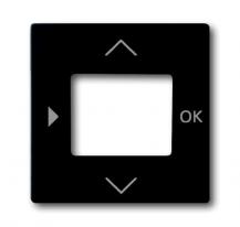 Busch-Jaeger 6435-885 Zentralscheibe