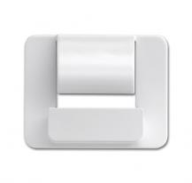 Busch-Jaeger 6477-24G Zentralscheibe für Busch-powerDock