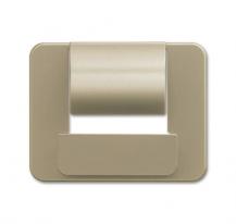 Busch-Jaeger 6477-260 Zentralscheibe für Busch-powerDock