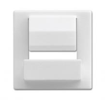 Busch-Jaeger 6477-84 Zentralscheibe für Busch-powerDock