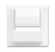 Busch-Jaeger 6477-884 Zentralscheibe für Busch-powerDock