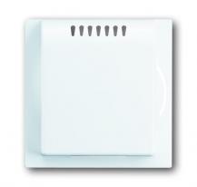 Busch-Jaeger 6541-74 Zentralscheibe für Kühlteil