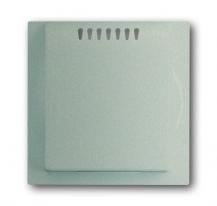 Busch-Jaeger 6541-79 Zentralscheibe für Kühlteil