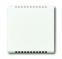 Busch-Jaeger 6541-884 Zentralscheibe für Kühlteil