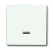 Busch-Jaeger 6543-884-101 Bedienelement mit Glimmlampe