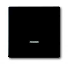 Busch-Jaeger 6543-885-101 Bedienelement mit Glimmlampe