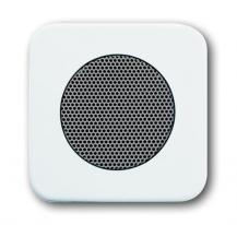 Busch-Jaeger 8253-214 Zentralscheibe