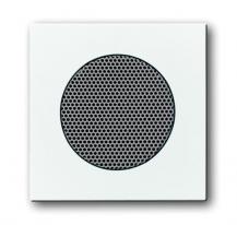 Busch-Jaeger 8253-84 Zentralscheibe